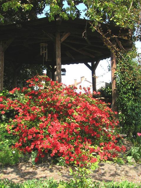 Brissago-Valtravaglia卡米莉尔旅馆住宿加早餐旅馆 外观 照片
